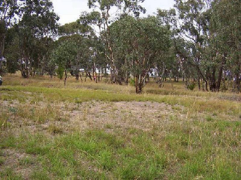 Lot 4 Crookwell Street, Bigga NSW 2583