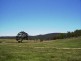 126 & 132 Boyd Road Lillyvale Estate, Tarago NSW 2580