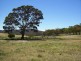 126 & 132 Boyd Road Lillyvale Estate, Tarago NSW 2580