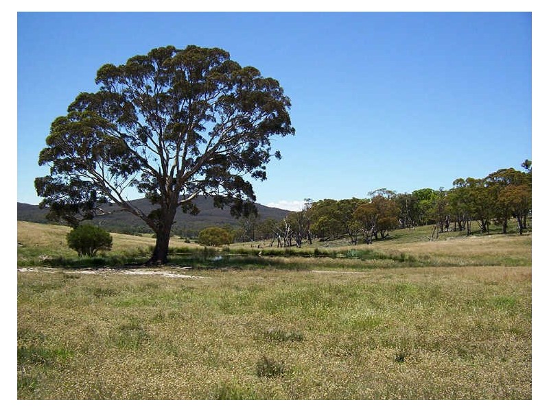 126 & 132 Boyd Road Lillyvale Estate, Tarago NSW 2580
