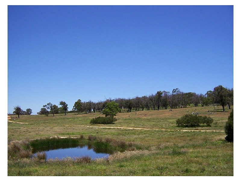 126 & 132 Boyd Road Lillyvale Estate, Tarago NSW 2580