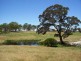 126 & 132 Boyd Road Lillyvale Estate, Tarago NSW 2580