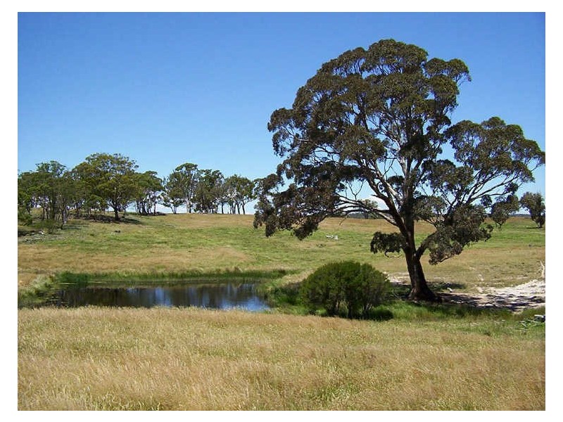 126 & 132 Boyd Road Lillyvale Estate, Tarago NSW 2580