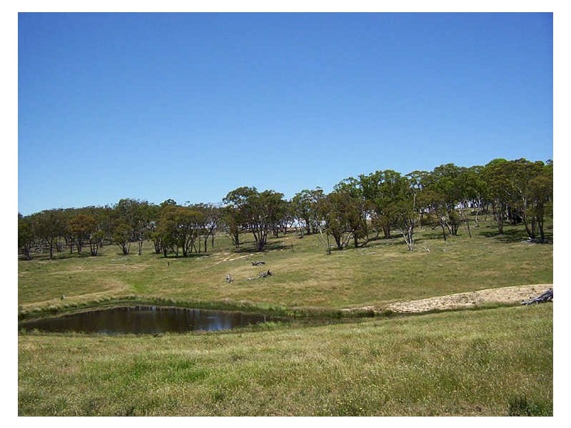 126 & 132 Boyd Road Lillyvale Estate, Tarago NSW 2580