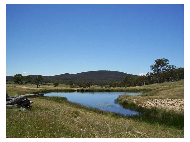 126 & 132 Boyd Road Lillyvale Estate, Tarago NSW 2580