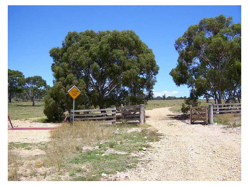 126 & 132 Boyd Road Lillyvale Estate, Tarago NSW 2580