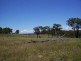 126 & 132 Boyd Road Lillyvale Estate, Tarago NSW 2580