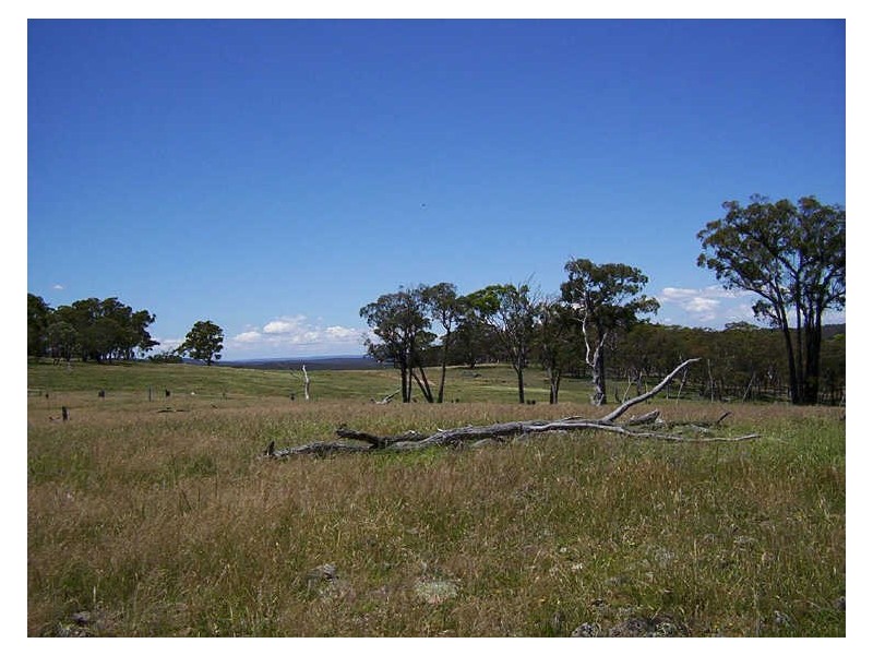 126 & 132 Boyd Road Lillyvale Estate, Tarago NSW 2580
