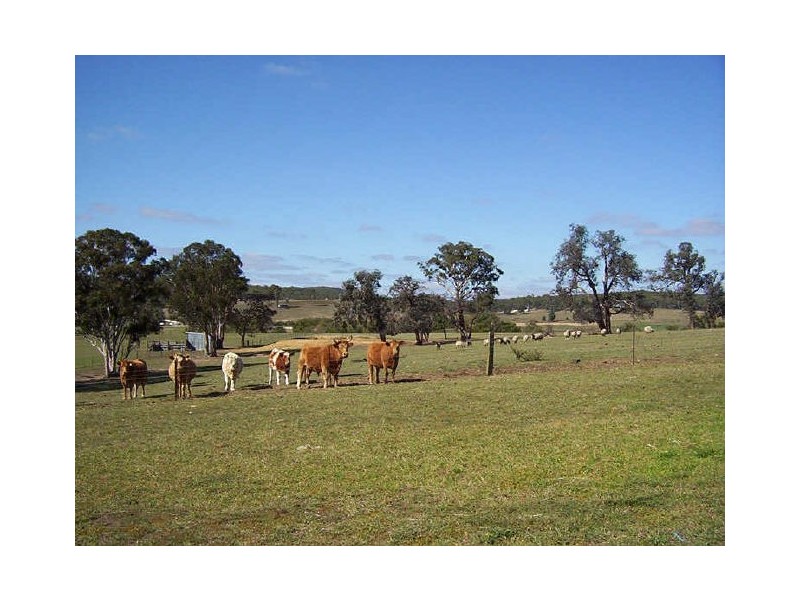 44 Mills Road, Towrang NSW 2580