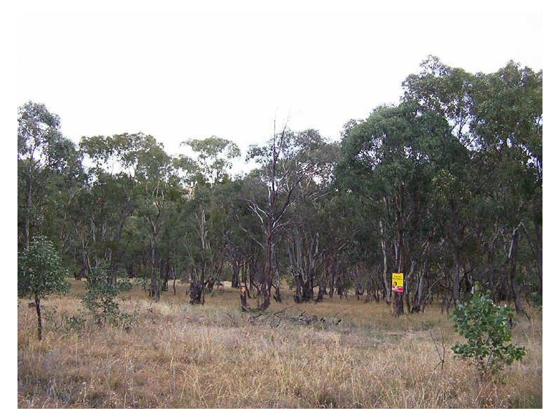 Lots 9   1 Yewrangara Street, Bigga NSW 2583