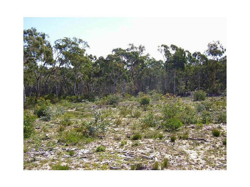 420 Mulwaree Drive, Tallong NSW 2579