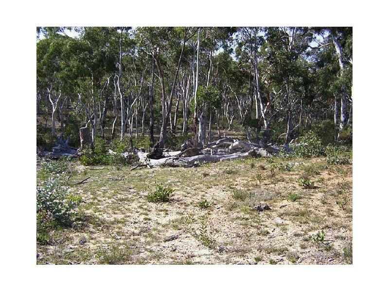 420 Mulwaree Drive, Tallong NSW 2579