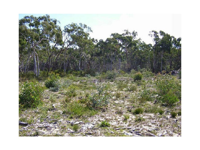 420 Mulwaree Drive, Tallong NSW 2579