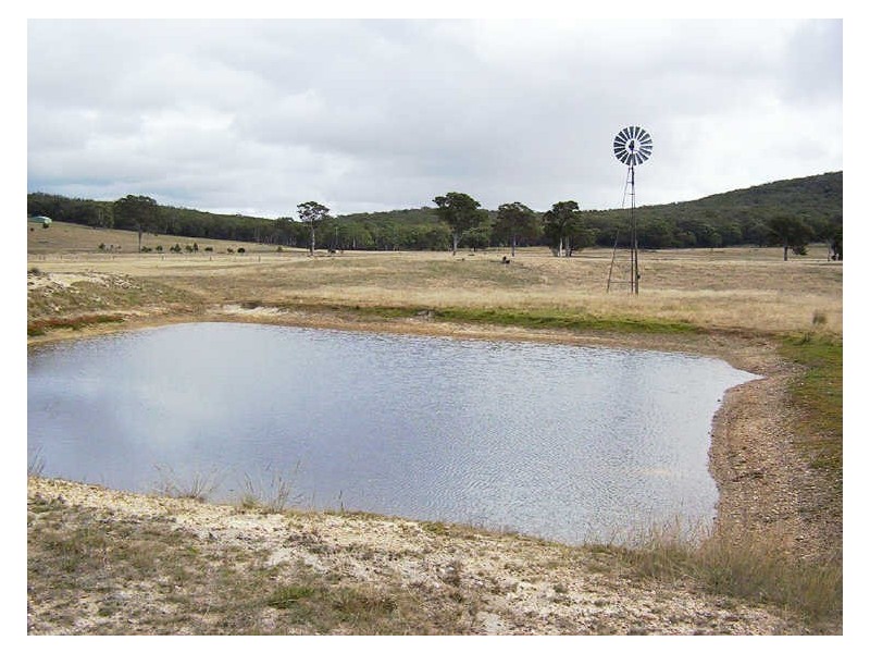 480 Dewsberrys Lane, Goulburn NSW 2580