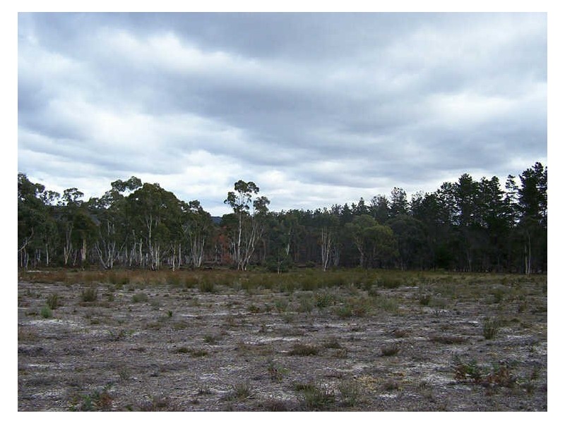 1510 Oallen Ford Road, Windellama NSW 2580