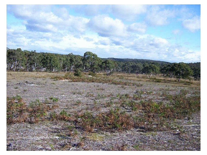 1588 Oallen Ford Road, Windellama NSW 2580