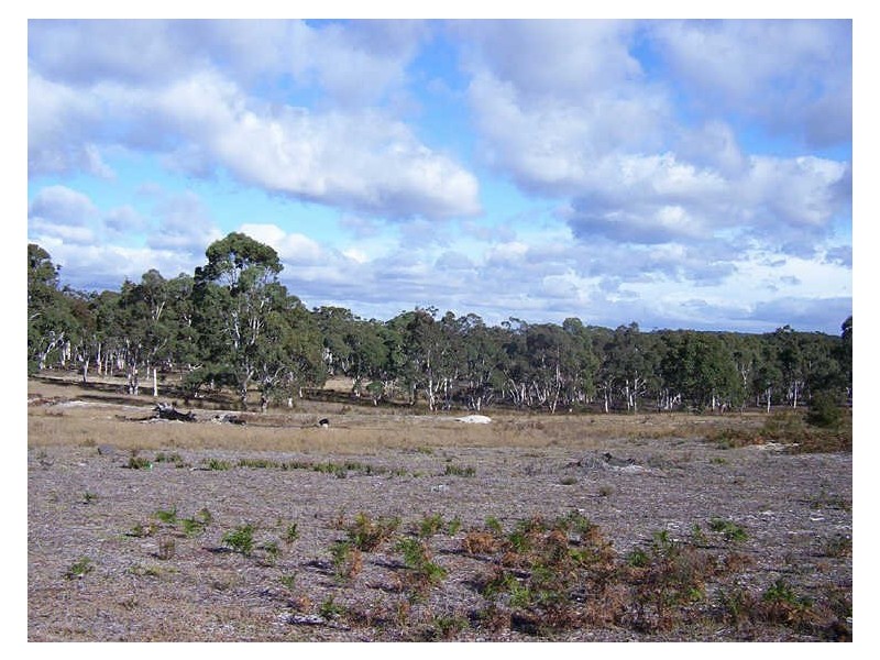 1588 Oallen Ford Road, Windellama NSW 2580