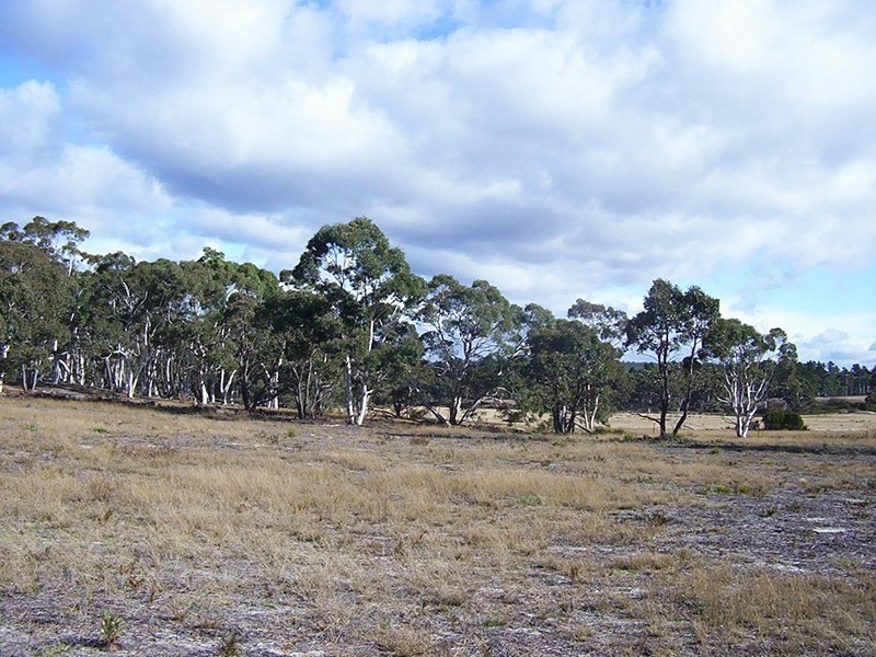 Lot 106 Oallen Ford Road, Windellama NSW 2580
