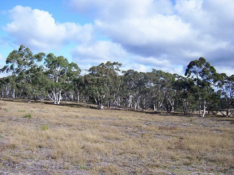 Lot 106 Oallen Ford Road, Windellama NSW 2580