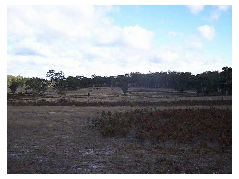 1596 Oallen Ford Road, Windellama NSW 2580