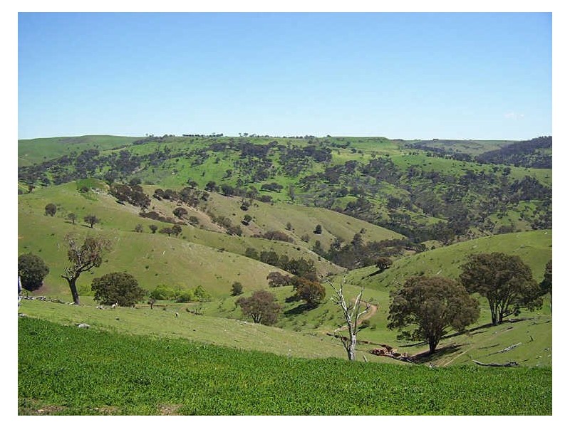 Lot 5 Highlands Road, Taralga NSW 2580