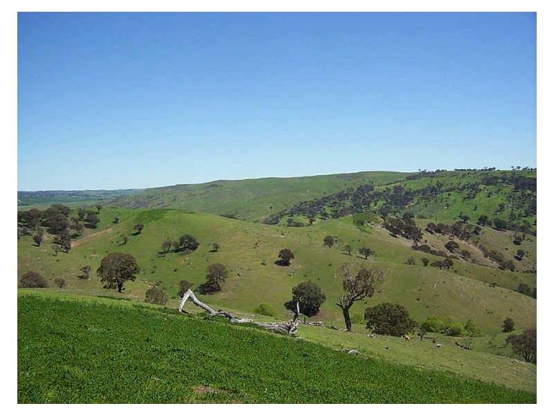 Lot 5 Highlands Road, Taralga NSW 2580
