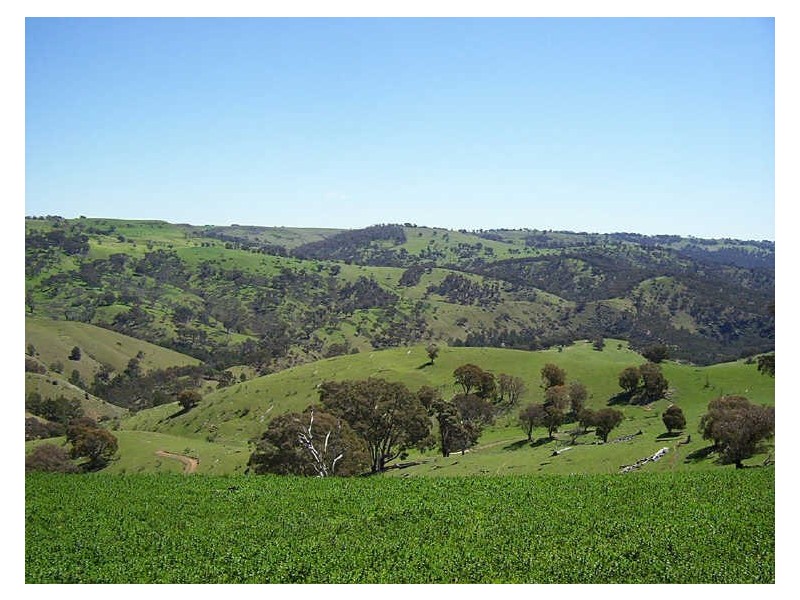 Lot 5 Highlands Road, Taralga NSW 2580