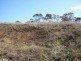Lot 8 Thomas Place, Goulburn NSW 2580