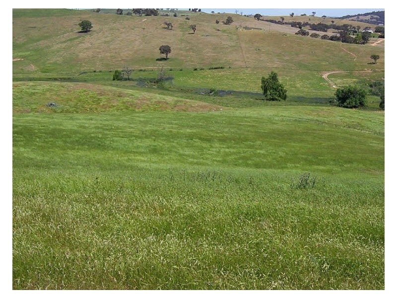 523 Heffernan Lane, Gunning NSW 2581