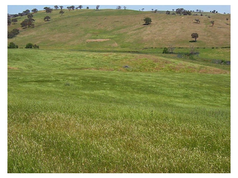 523 Heffernan Lane, Gunning NSW 2581