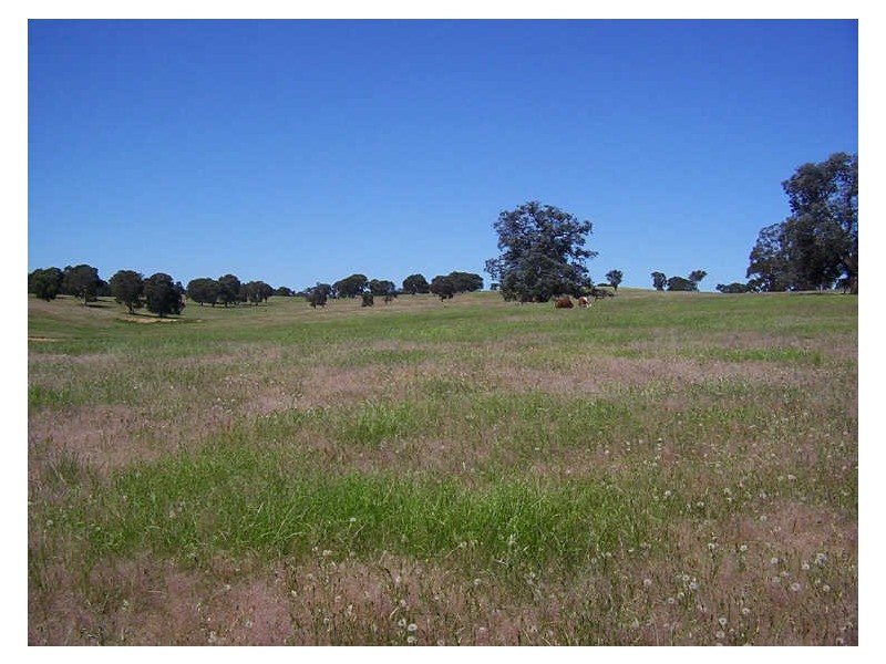 523 Heffernan Lane, Gunning NSW 2581