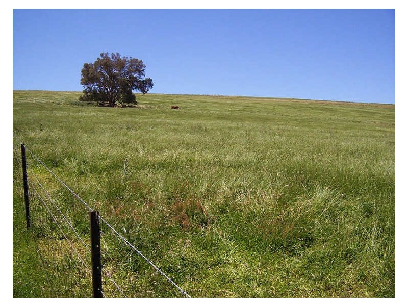 523 Heffernan Lane, Gunning NSW 2581