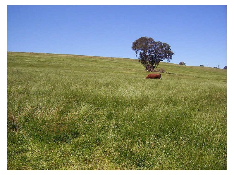 523 Heffernan Lane, Gunning NSW 2581