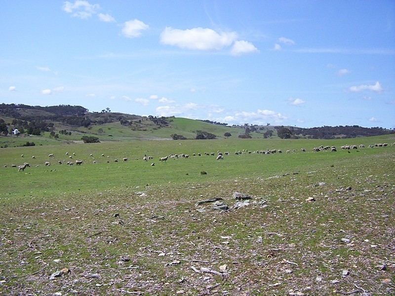 Lot 8 Corregans Lane, Yass NSW 2582