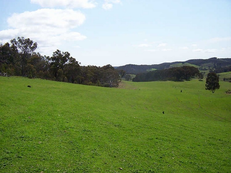 Lot 8 Corregans Lane, Yass NSW 2582