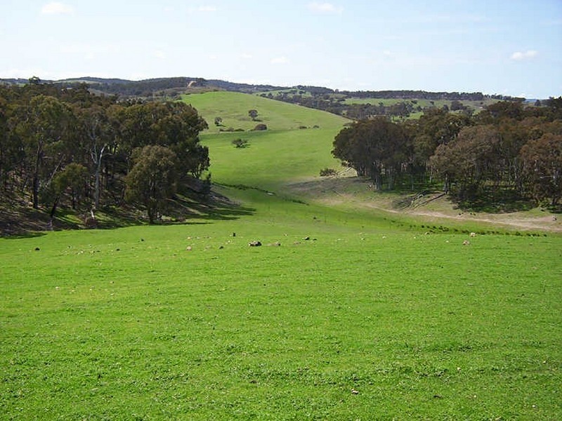 Lot 8 Corregans Lane, Yass NSW 2582
