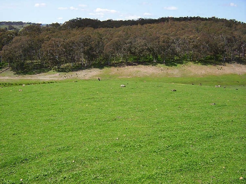 Lot 8 Corregans Lane, Yass NSW 2582