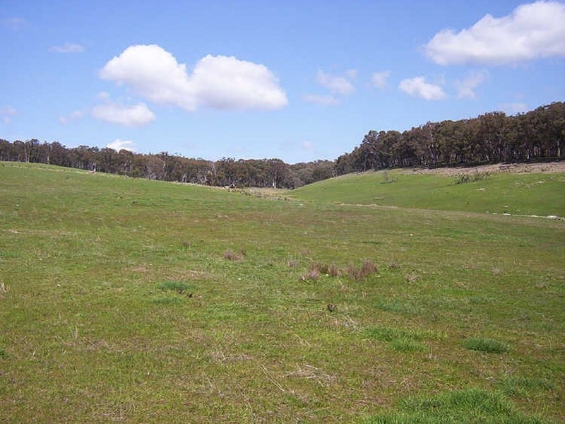 Lot 8 Corregans Lane, Yass NSW 2582