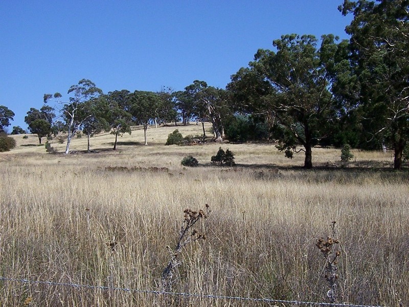 256 Run-O-Waters Drive, Goulburn NSW 2580