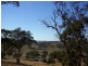 256 Run-O-Waters Drive, Goulburn NSW 2580