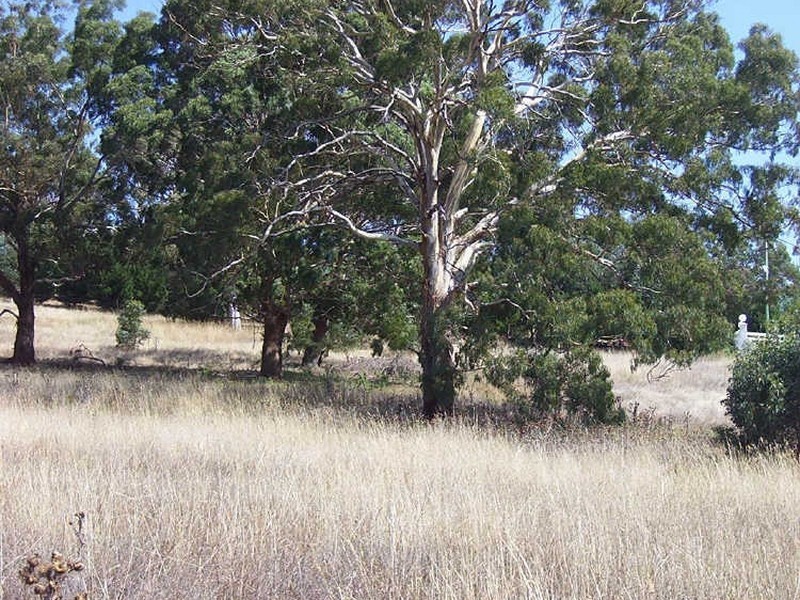 256 Run-O-Waters Drive, Goulburn NSW 2580