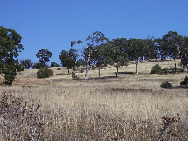 256 Run-O-Waters Drive, Goulburn NSW 2580