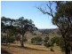 256 Run-O-Waters Drive, Goulburn NSW 2580