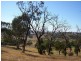 256 Run-O-Waters Drive, Goulburn NSW 2580