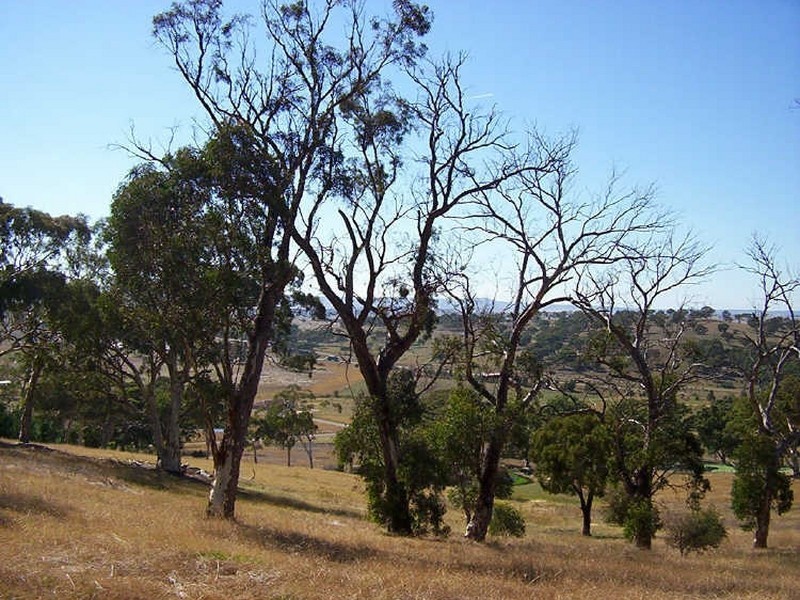 256 Run-O-Waters Drive, Goulburn NSW 2580