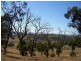256 Run-O-Waters Drive, Goulburn NSW 2580