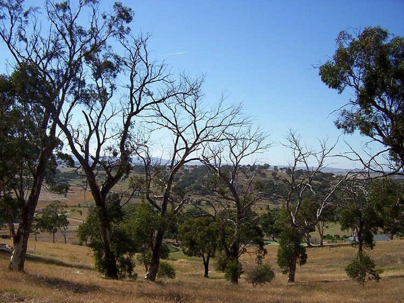 256 Run-O-Waters Drive, Goulburn NSW 2580
