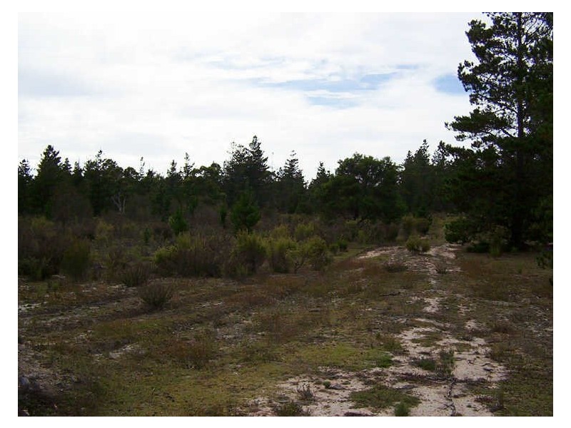 Lot 151 Mogo Road, Windellama NSW 2580