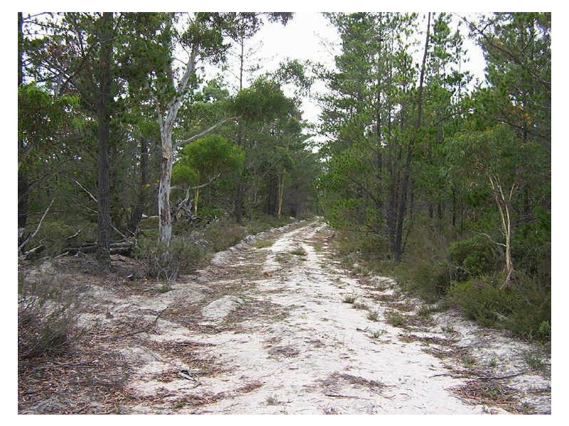 Lot 151 Mogo Road, Windellama NSW 2580