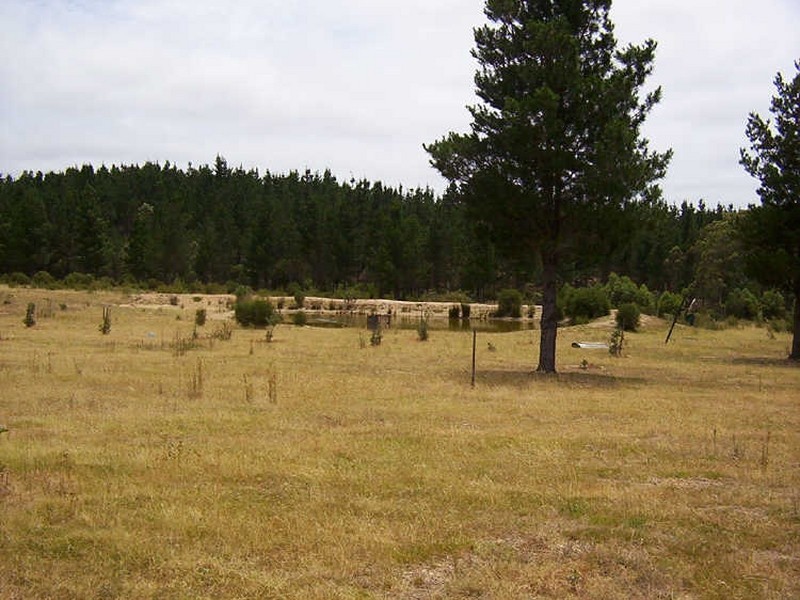 977 Oallen Ford Road, Nerriga NSW 2622